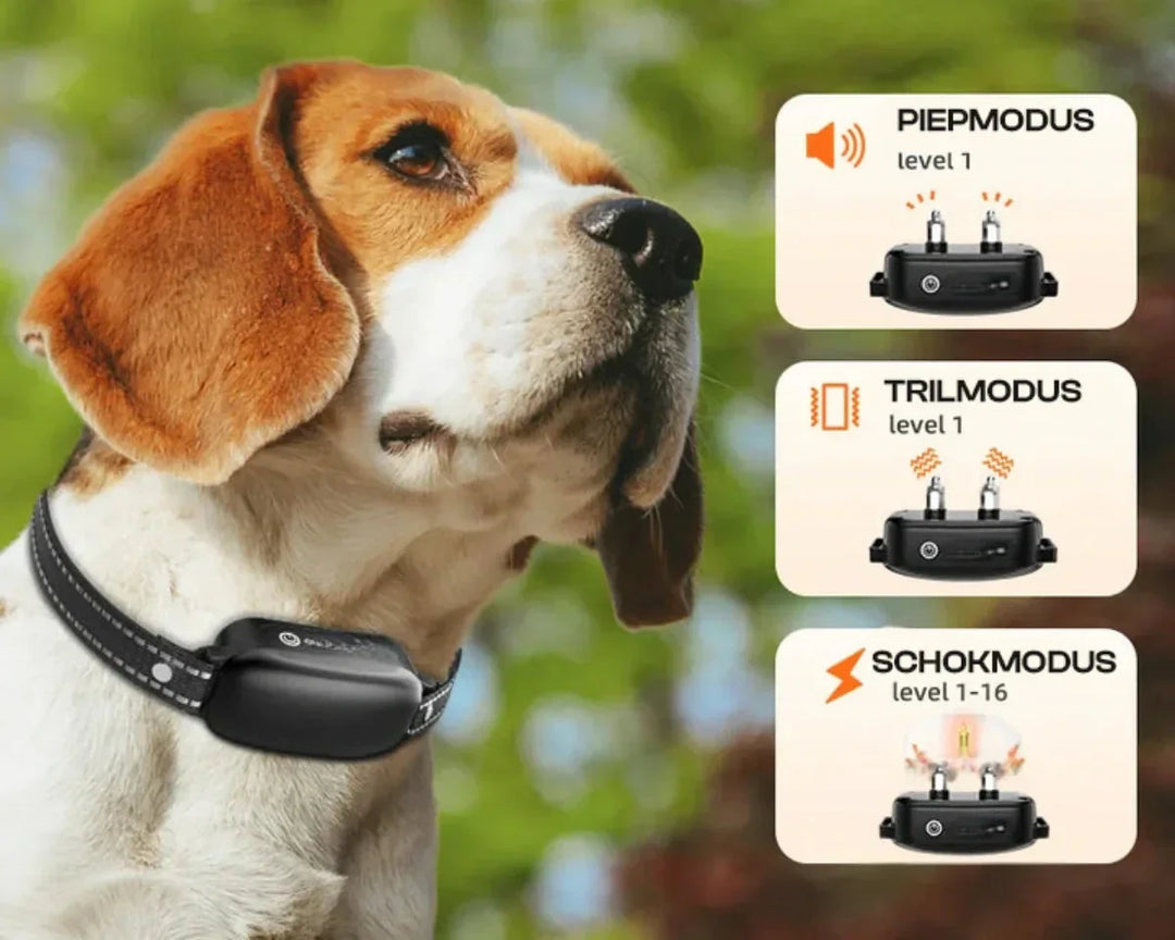 Azura | Dog Coach Pro Training Collar – Waterproof Electronic Collar with Remote Control