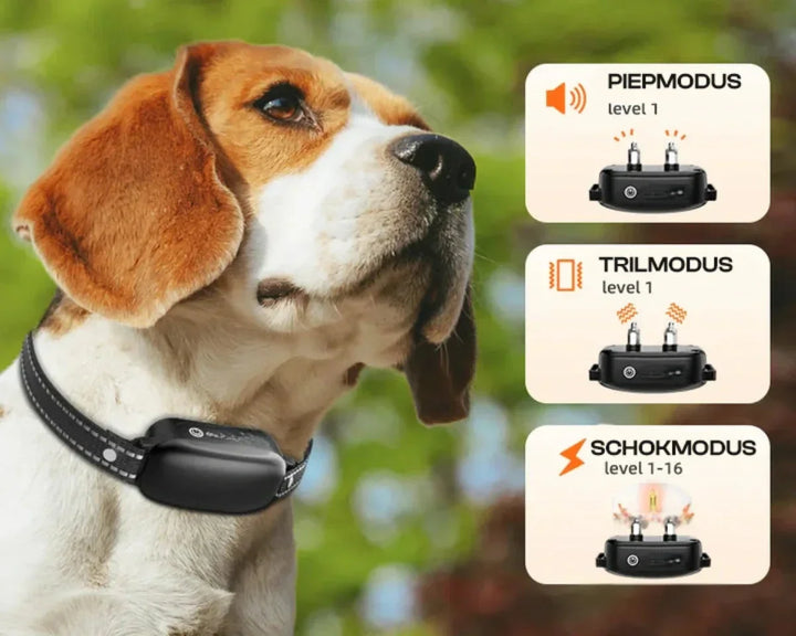 Azura | Dog Coach Pro Training Collar – Waterproof Electronic Collar with Remote Control