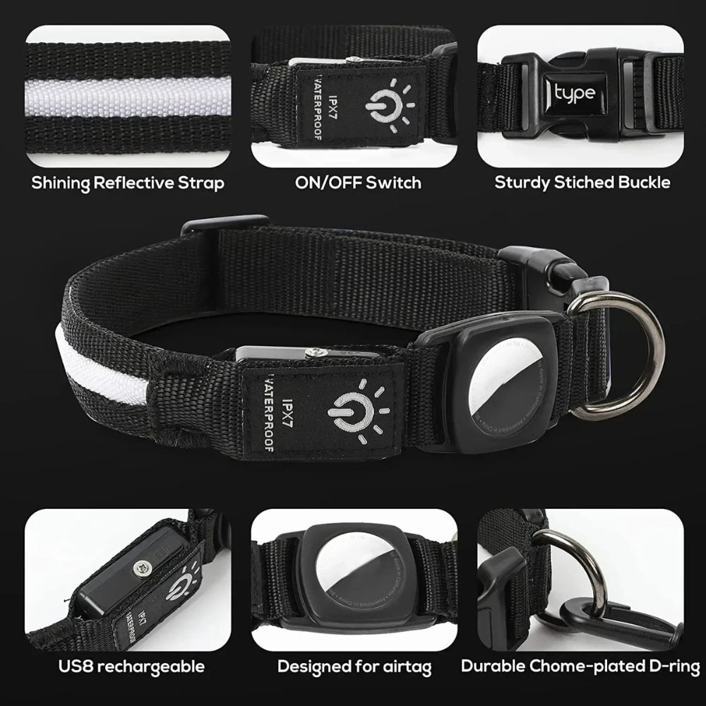 Azura | Flashing Dog Collars – Waterproof LED Light Up Dog Collar with USB Rechargeable Glow, Dog Collars Illuminated for Night Safety, All Sizes
