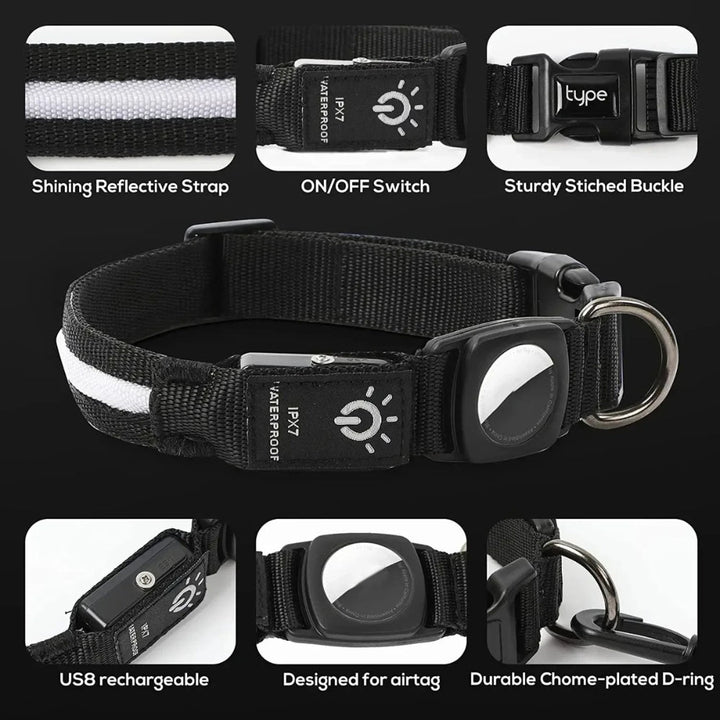 Azura | Flashing Dog Collars – Waterproof LED Light Up Dog Collar with USB Rechargeable Glow, Dog Collars Illuminated for Night Safety, All Sizes