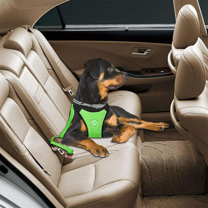 Azura | Dog Safety Harness Set
