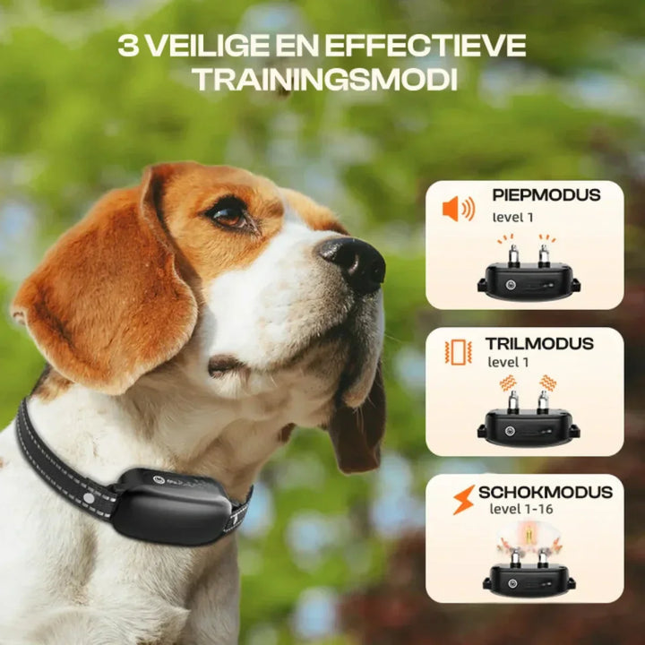 Azura | Electric Dog Training Collar with Remote Control, Waterproof, 16 Adjustable Shock Levels, 1000m Range, Beep & Vibration Modes