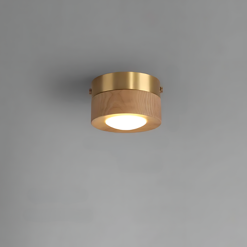 Azura | | Walnut ceiling lamp with LED spotlight