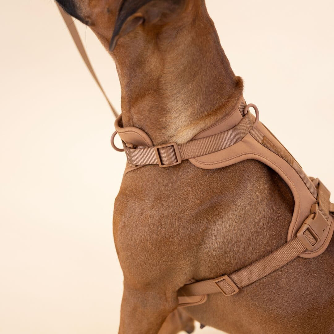 Azura | ComfyPaws Dog Harness Walking Set with Leash and Poop Bag Holder