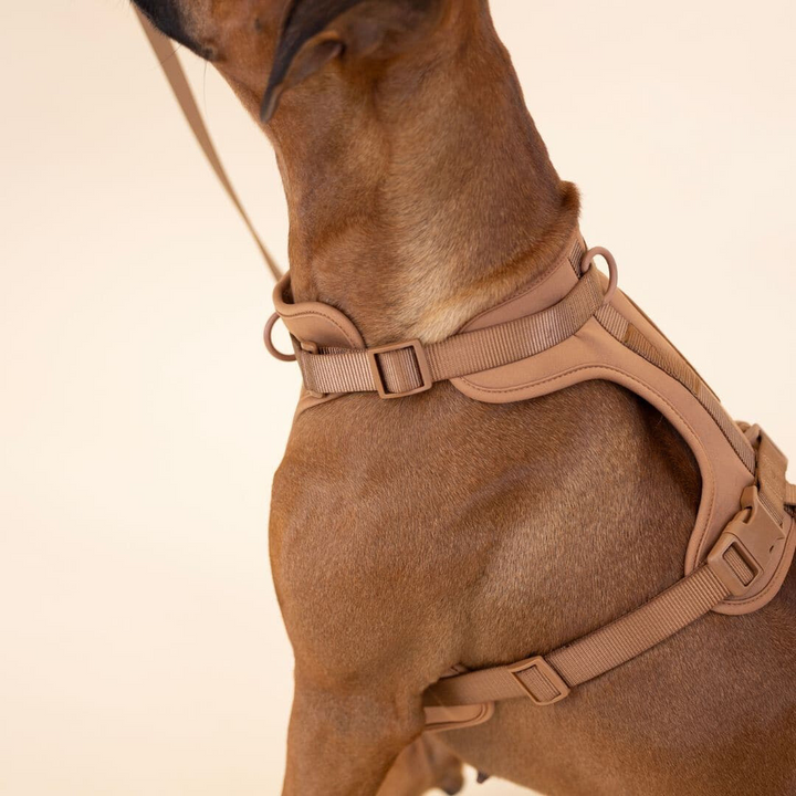 Azura | ComfyPaws Dog Harness Walking Set with Leash and Poop Bag Holder