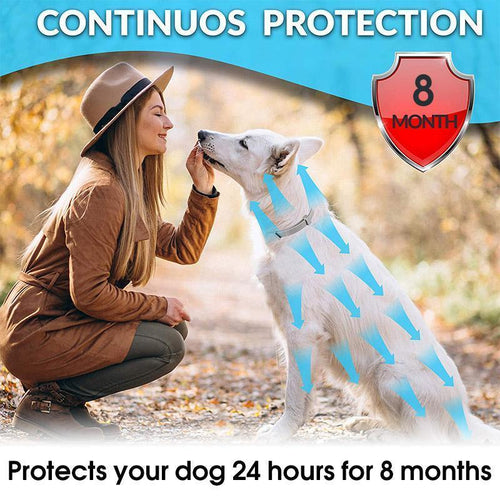 Azura | Adjustable Insect Defense Collar for Pets