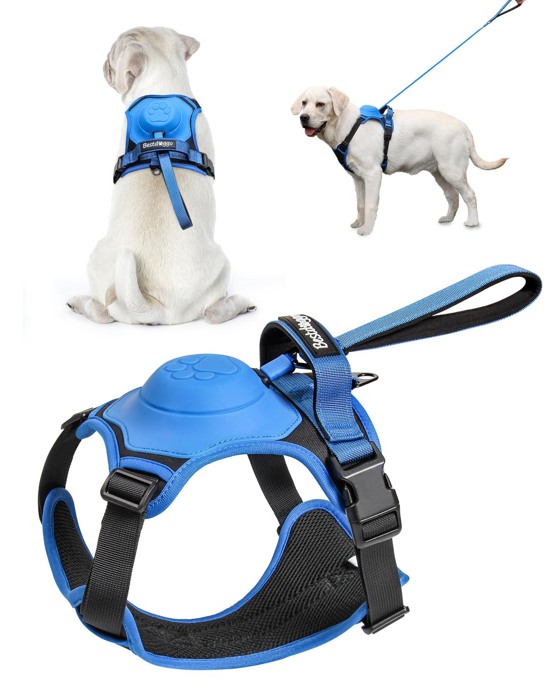 Azura | mamymarket™ - Dog Harness and Retractable Leash Set All-in-One