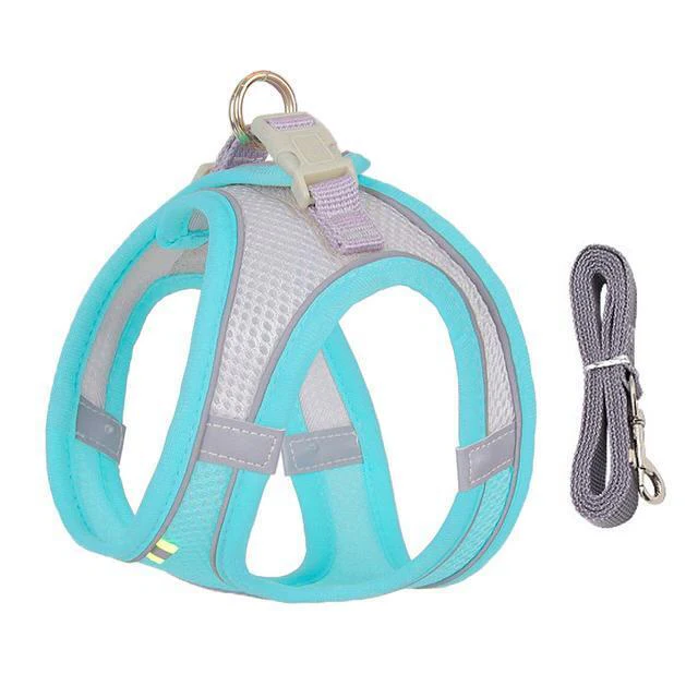 Azura | Adjustable Harness and Leash Set for Small Dogs and Cats