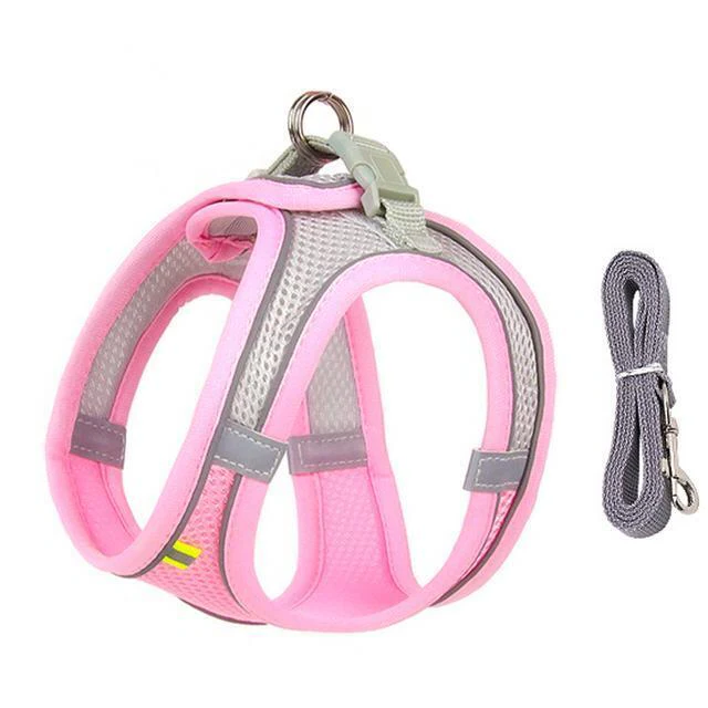 Azura | Adjustable Harness and Leash Set for Small Dogs and Cats