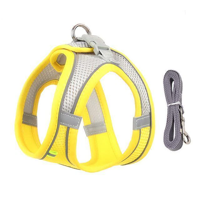 Azura | Adjustable Harness and Leash Set for Small Dogs and Cats