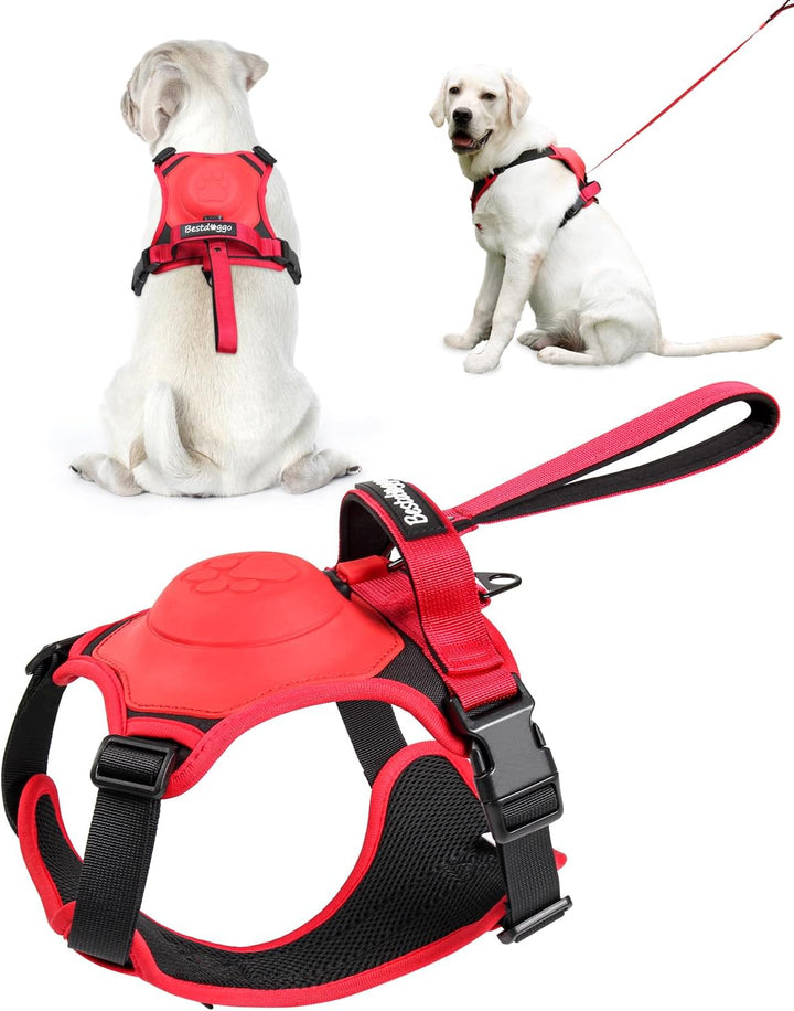 Azura | mamymarket™ - Dog Harness and Retractable Leash Set All-in-One