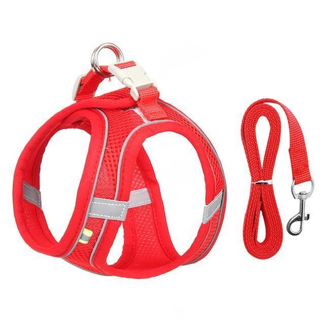 Azura | Adjustable Harness and Leash Set for Small Dogs and Cats