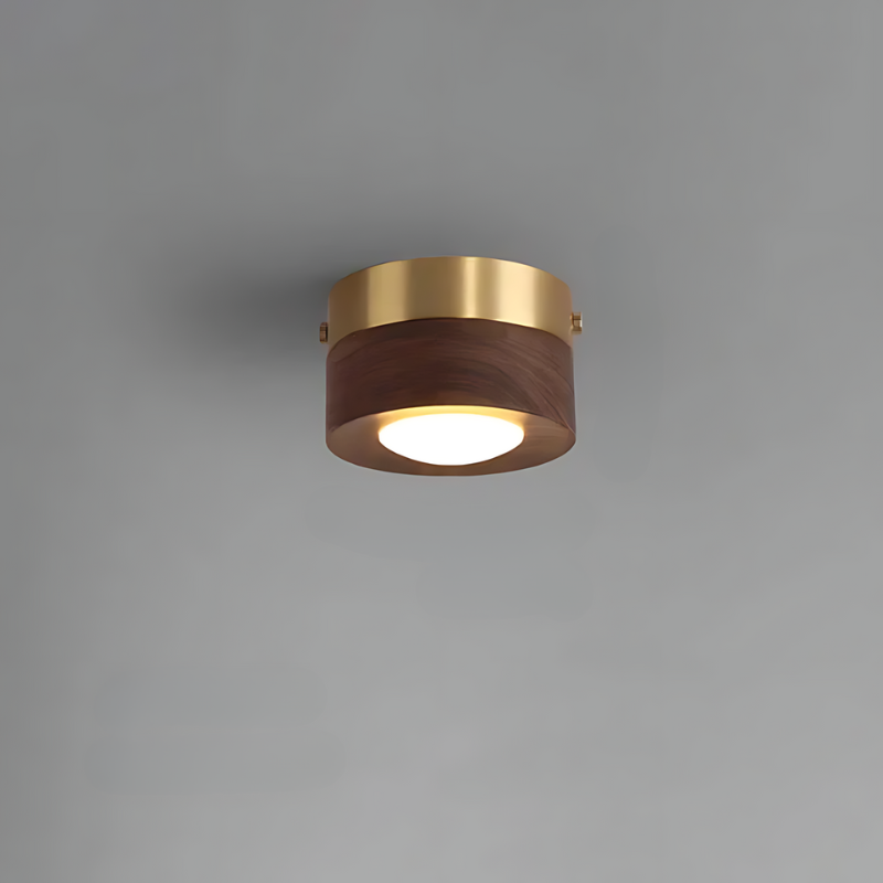 Azura | | Walnut ceiling lamp with LED spotlight