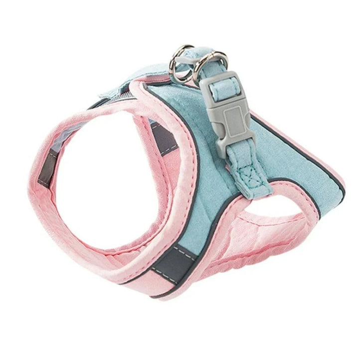 Cat Harness – Safe and Comfortable for Outdoor Adventures Azura