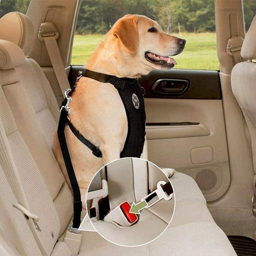 Azura | Dog Safety Harness Set