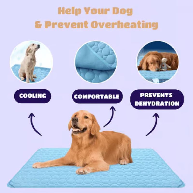 Azura | Cooling Mat for Dogs (4x More Effective)