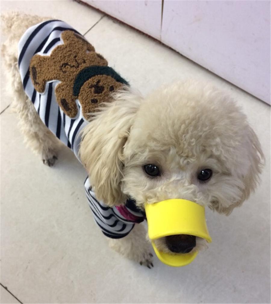 Azura | Dog Muzzle - Cutest Adjustable Duck Mouth For Your Dog