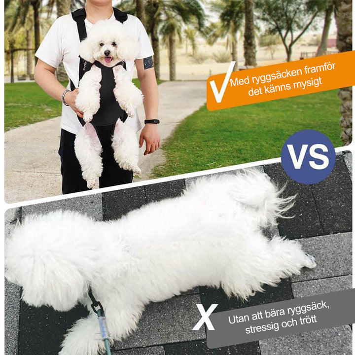 Azura | Pet Backpack Front