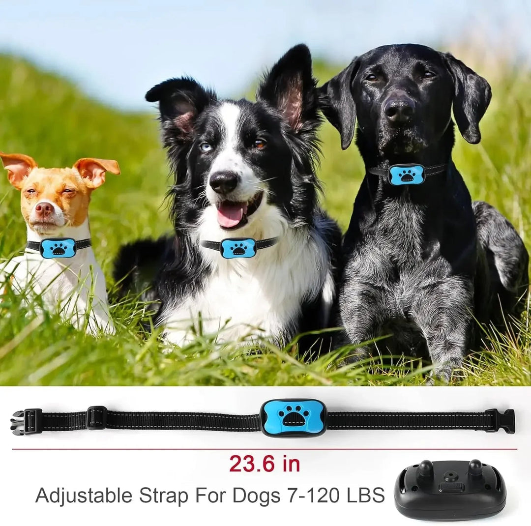 Azura | Anti-Bark Dog Collar – Stop Unwanted Barking with the BarkBuddy Vibration Training Collar for Dogs