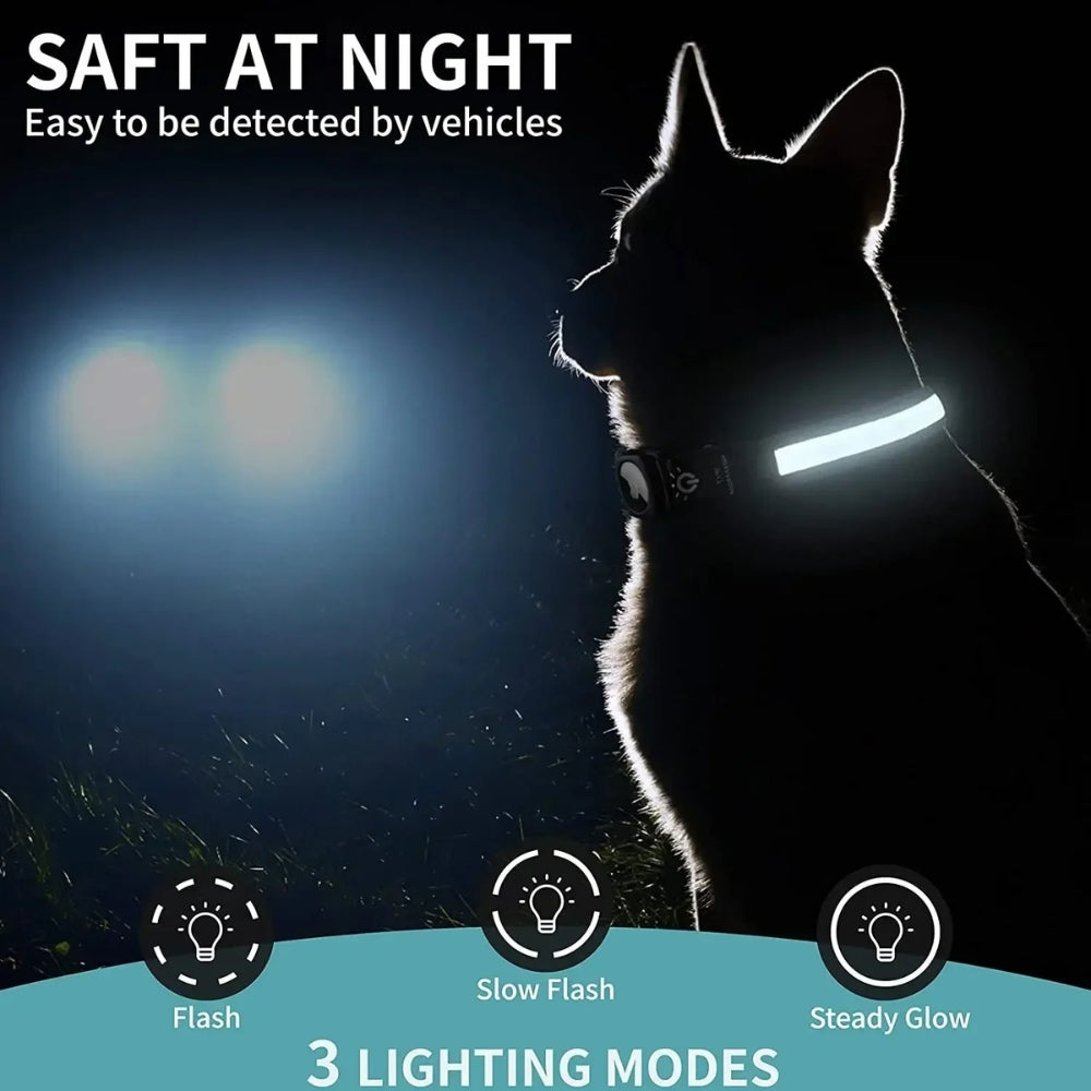 Azura | Flashing Dog Collars – Waterproof LED Light Up Dog Collar with USB Rechargeable Glow, Dog Collars Illuminated for Night Safety, All Sizes