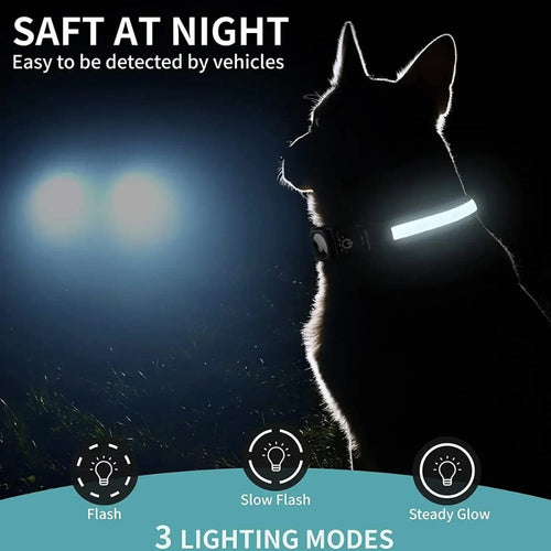 Azura | Flashing Dog Collars – Waterproof LED Light Up Dog Collar with USB Rechargeable Glow, Dog Collars Illuminated for Night Safety, All Sizes