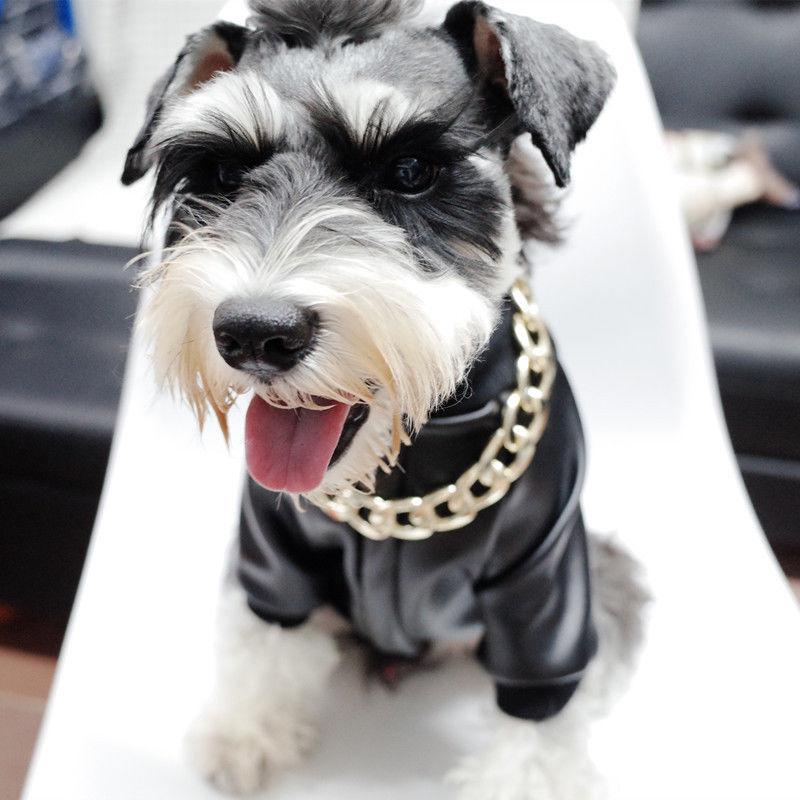 Azura | Pet Jewelry Thick Gold Chain Collar