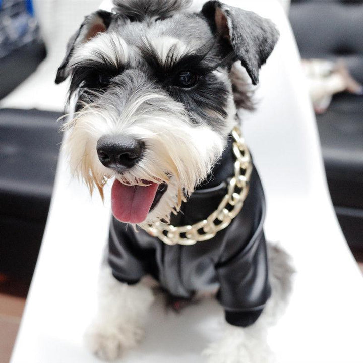 Azura | Pet Jewelry Thick Gold Chain Collar
