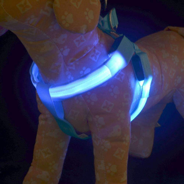 Azura | High-Quality Collar Dog - Without Any Fear of Missing Your Beloved Pet Dog!