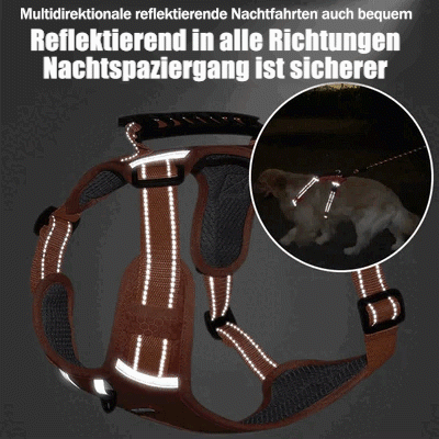 Azura | No Pull Dog Harness for Pets