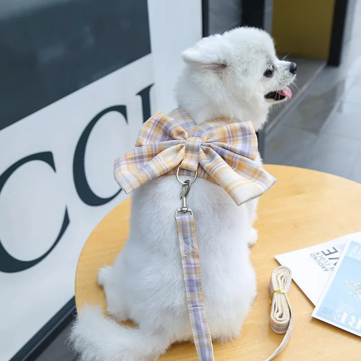 Aurélien Harness – Stylish Dog Harness with Bow Azura