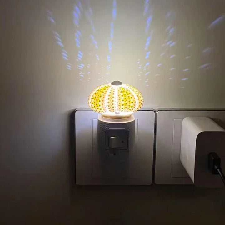 BowLift | LumiCraft – Unique DIY table lamp with natural sea shell for a cozy décor