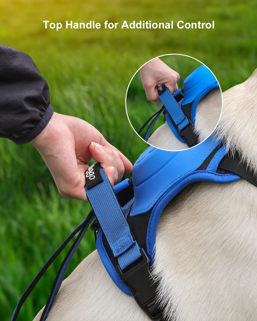 Azura | mamymarket™ - Dog Harness and Retractable Leash Set All-in-One