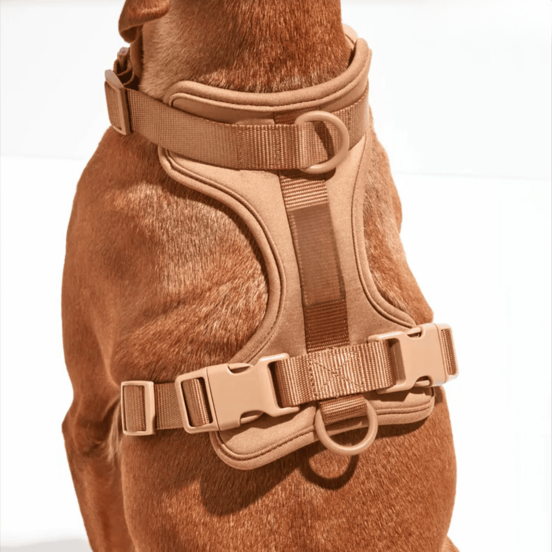 Azura | ComfyPaws Dog Harness Walking Set with Leash and Poop Bag Holder