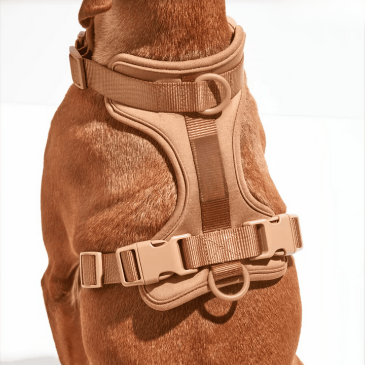 Azura | ComfyPaws Dog Harness Walking Set with Leash and Poop Bag Holder
