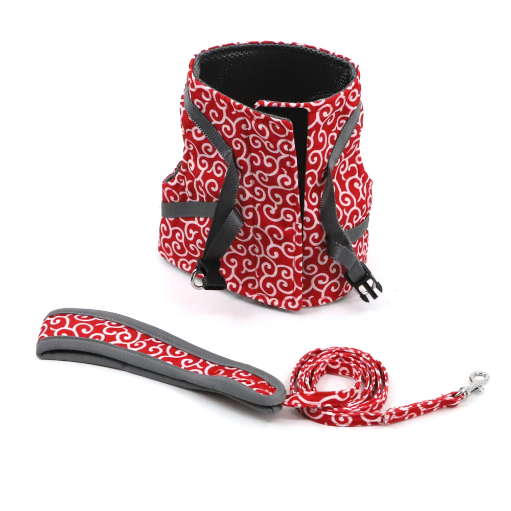Azura | Stylish Cat Harness with Matching Leash - Comfortable and Easy to Wear, Adjustable Fit for Cats and Kittens