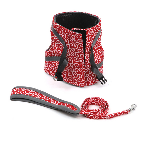 Azura | Stylish Cat Harness with Matching Leash - Comfortable and Easy to Wear, Adjustable Fit for Cats and Kittens