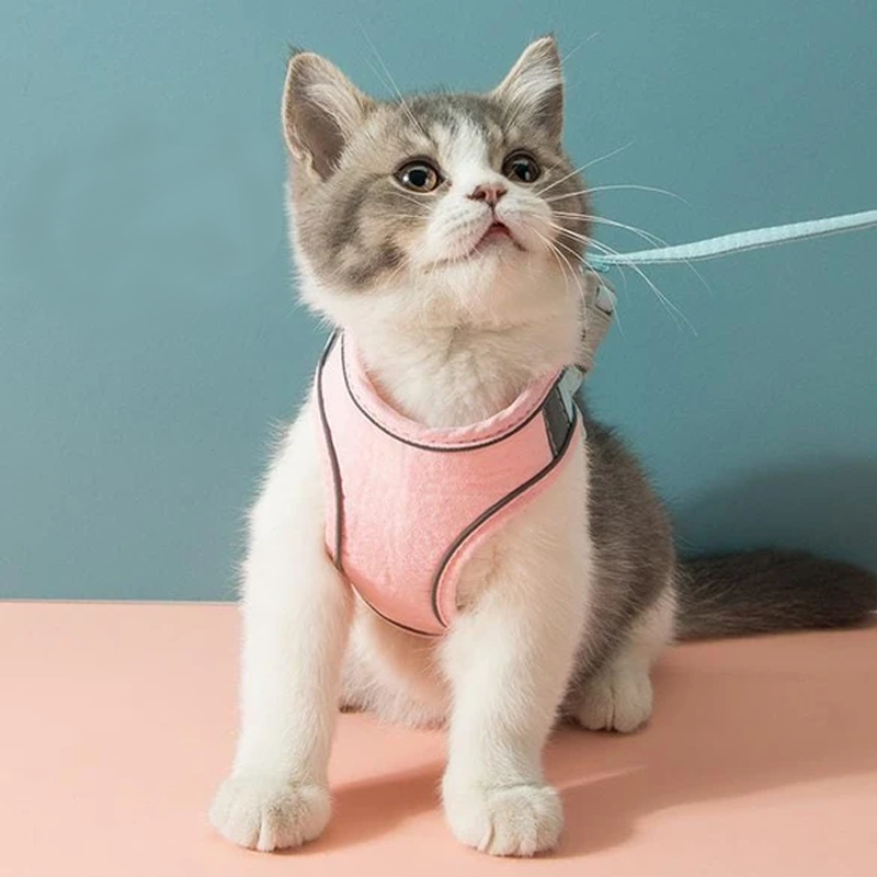 Azura | Cat Vest Harness and Leash Set