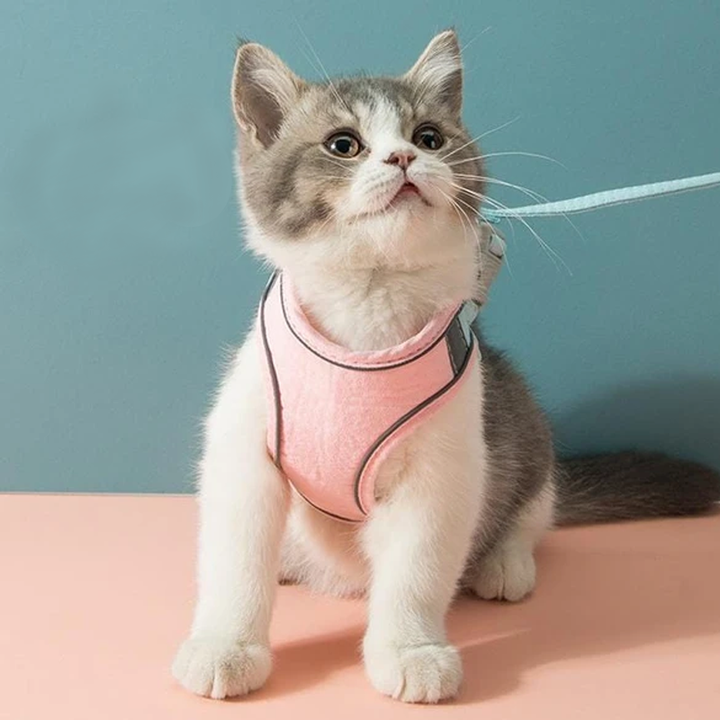 Azura | Cat Vest Harness and Leash Set