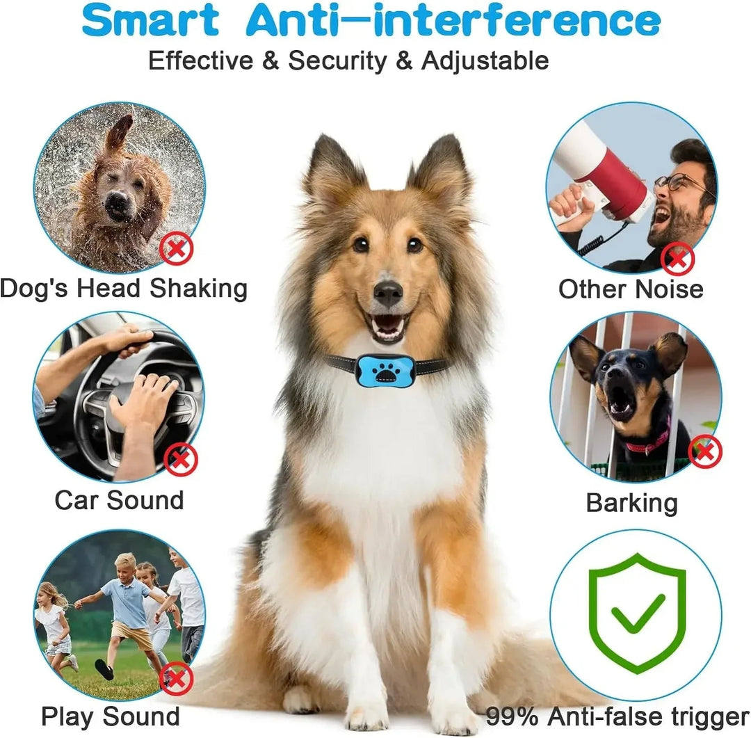 Azura | Anti-Bark Dog Collar – Stop Unwanted Barking with the BarkBuddy Vibration Training Collar for Dogs