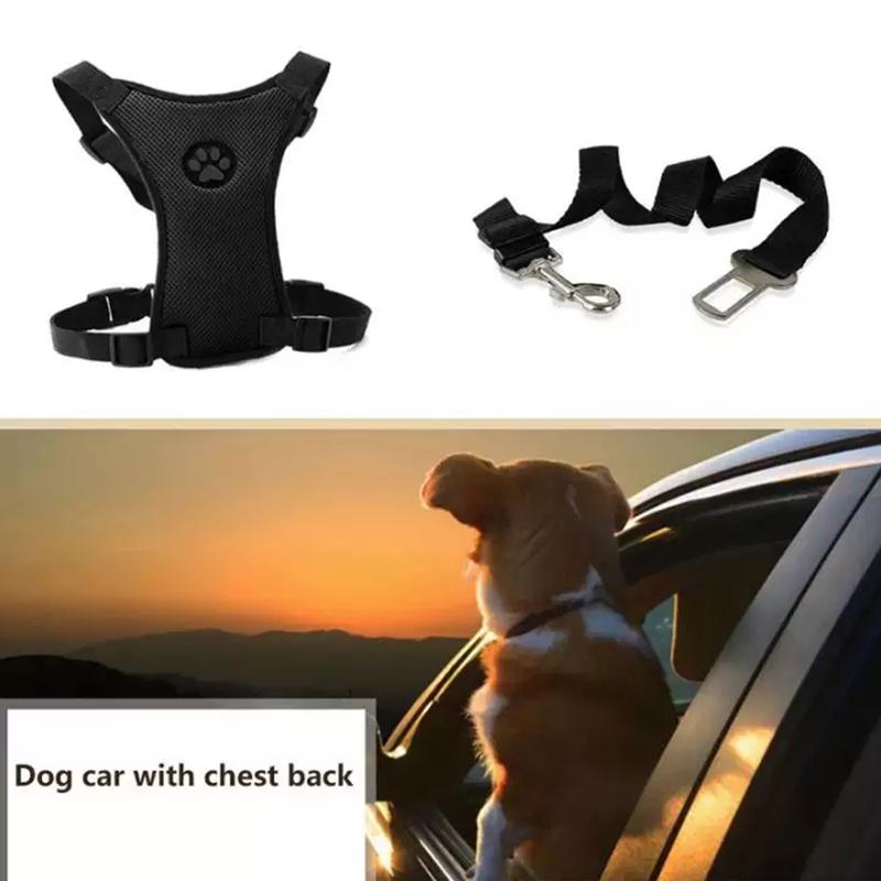 Azura | Dog Safety Harness Set