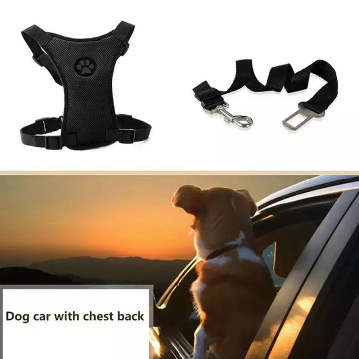 Azura | Dog Safety Harness Set