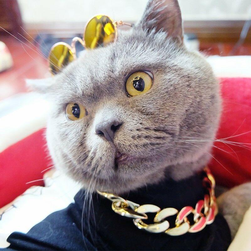 Azura | Pet Jewelry Thick Gold Chain Collar
