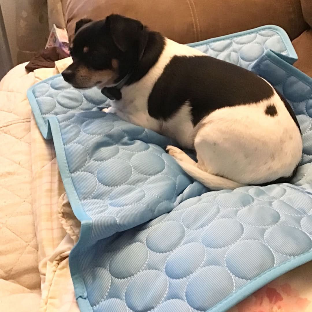 Azura | COOLTAILS - Premium Cooling Mat