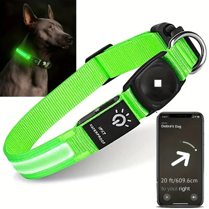 Azura | Flashing Dog Collars – Waterproof LED Light Up Dog Collar with USB Rechargeable Glow, Dog Collars Illuminated for Night Safety, All Sizes