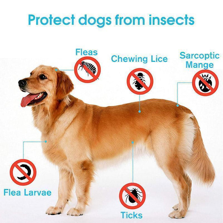 Azura | Adjustable Insect Defense Collar for Pets