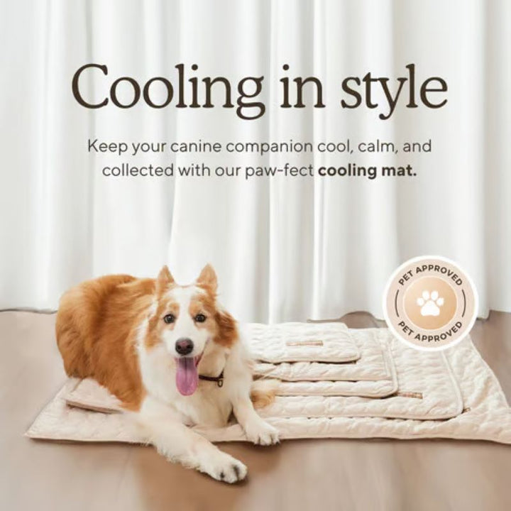 Azura | Cooling Mat for Dogs (4x More Effective)