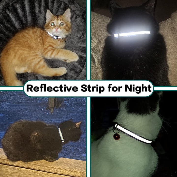Azura | Stay Connected: pet locator collar
