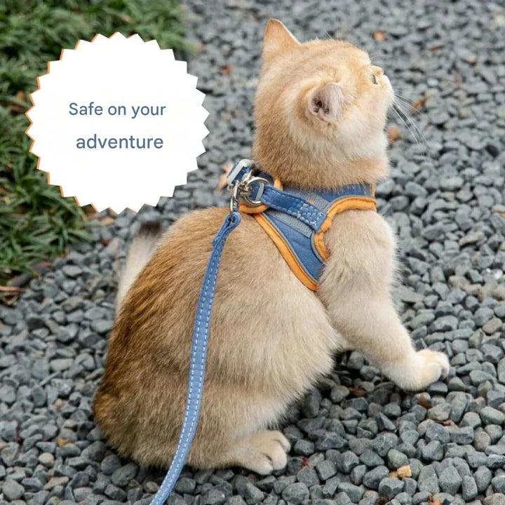 Adventurous Cat Harness with Leash – Adjustable and Reflective | Azura