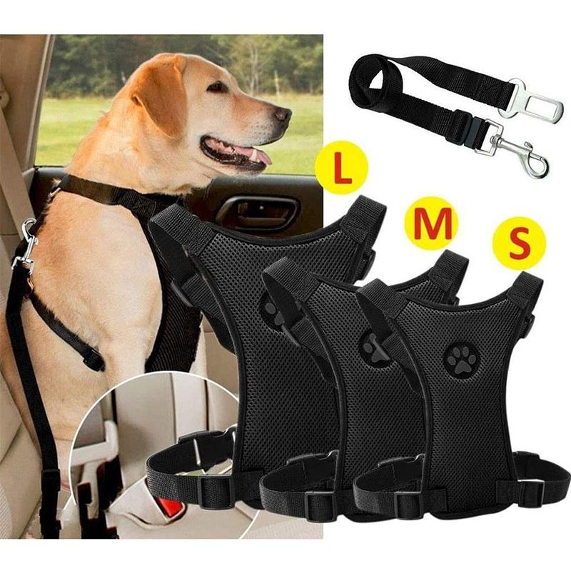 Azura | Dog Safety Harness Set