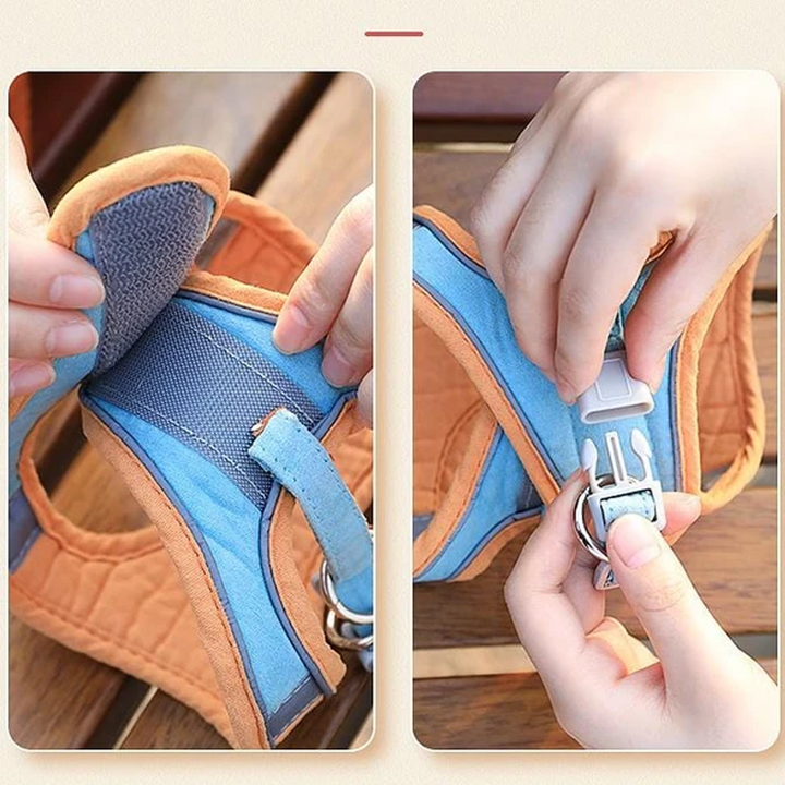 Azura | Cat Vest Harness and Leash Set